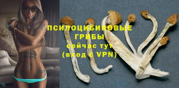 а пвп мука Абаза