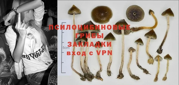 МДПВ Абдулино